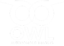 Owl AI