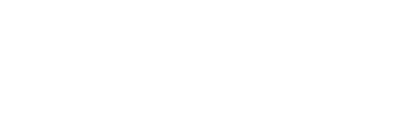 Swan Bitcoin
